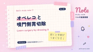 手術イラスト・オペレコによる外科教育と噴門側胃切除術のセミナー記事アイキャッチ
